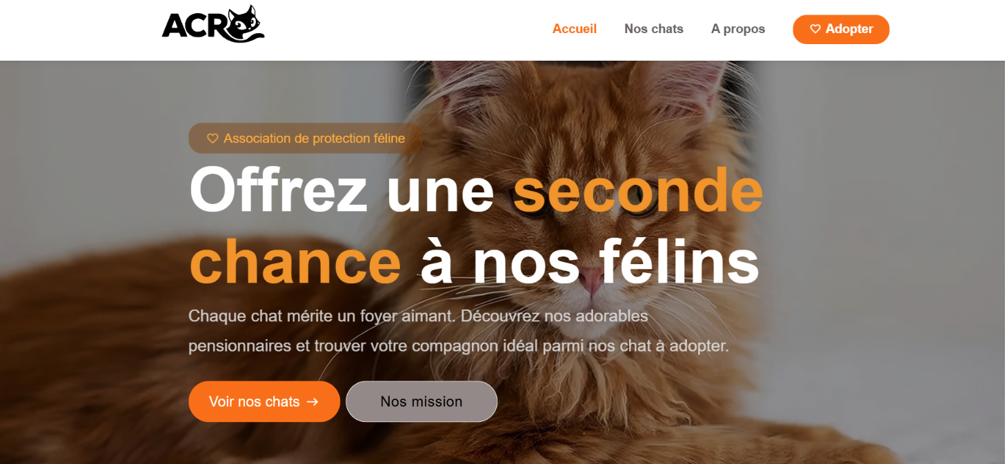 Aperçu du site ACRO Romainville